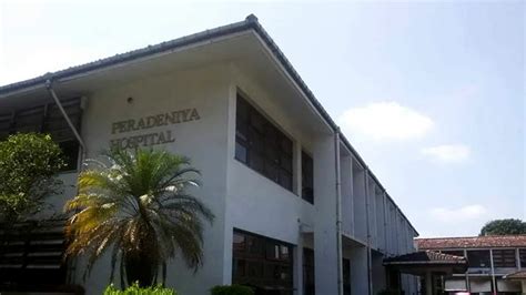 amaya hospital peradeniya